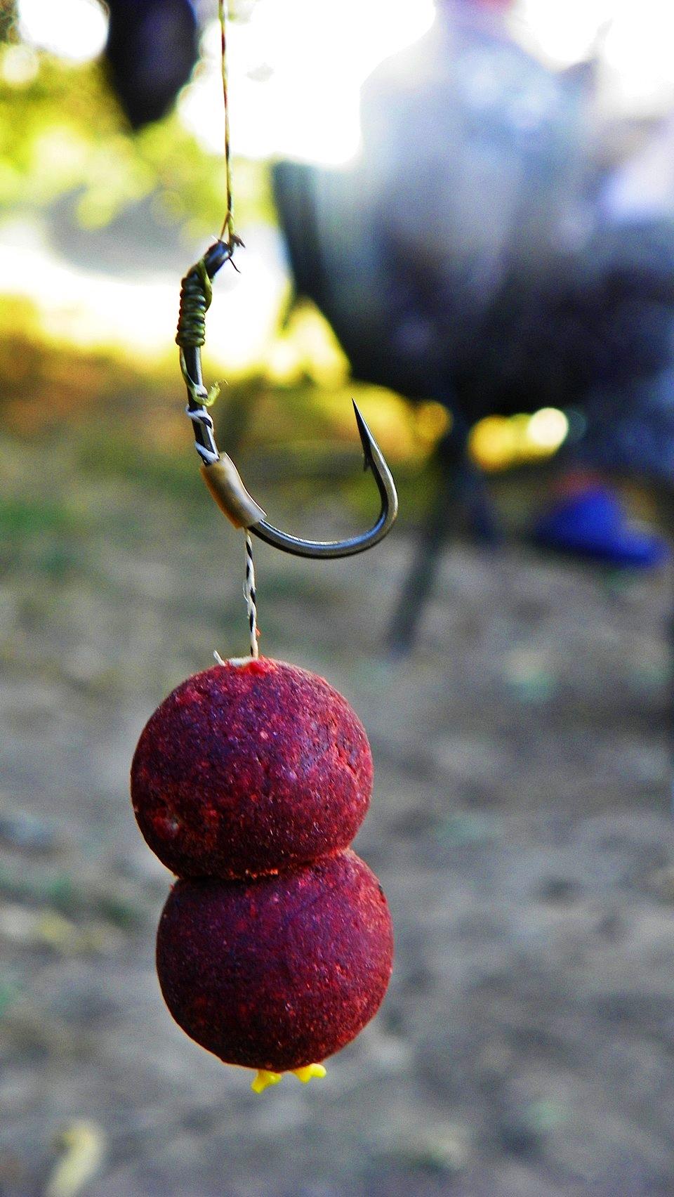 Boiliesmania (2) - 2011 - 1009115.JPG